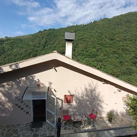 Tottavilla Affittacamere Campodonico  Exterior foto