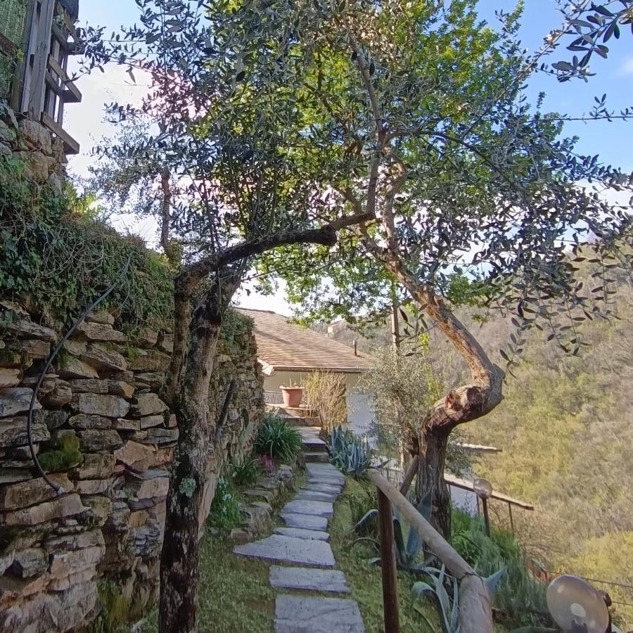 Tottavilla Affittacamere Campodonico  Exterior foto
